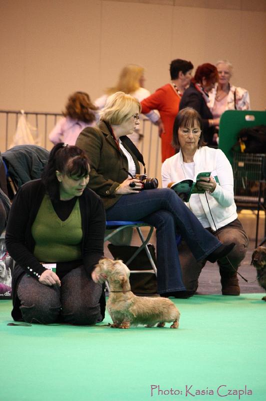 Crufts2011_2 464.jpg